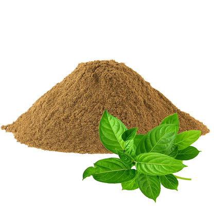 Gudmar Powder / Gurmar Churna / Madhunashni Powder / गुडमार पावडर / Gymnema Sylvestre