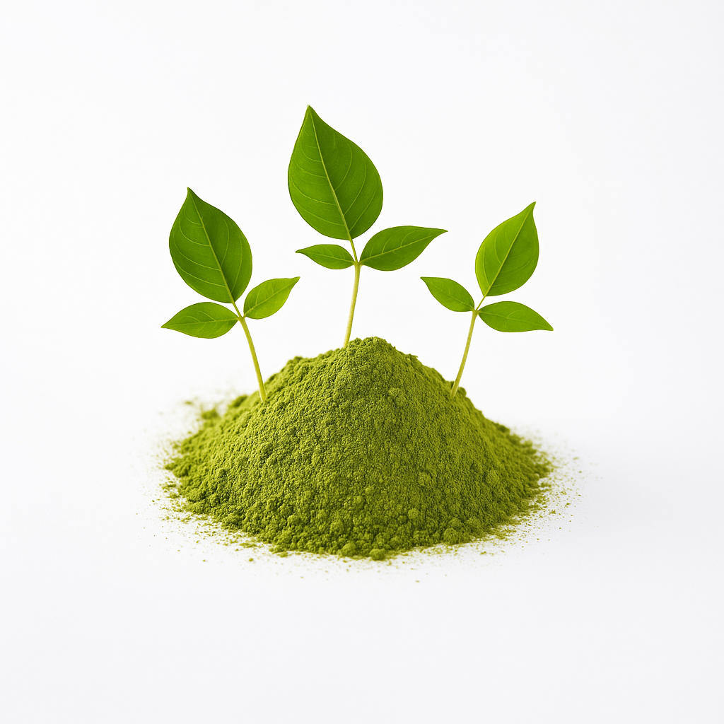 Bel Leaf Powder | बेल पत्ता पाउडर | BEL LEAF POWDER | BEL PATTA PATRA churna | BAILPATR BAIL PATR AEGLE MARMELOS