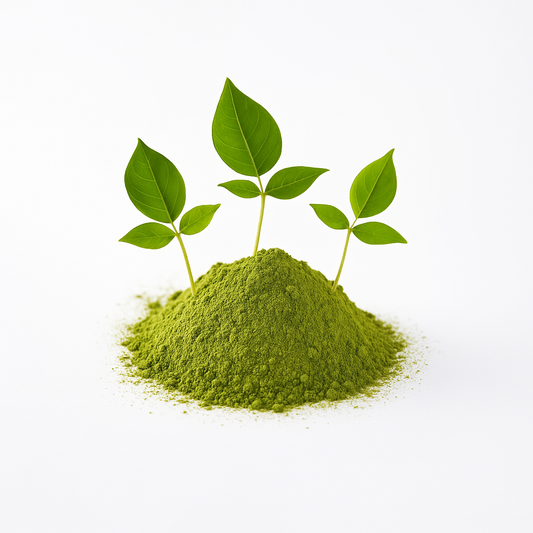 Bel Leaf Powder | बेल पत्ता पाउडर | BEL LEAF POWDER | BEL PATTA PATRA churna | BAILPATR BAIL PATR AEGLE MARMELOS